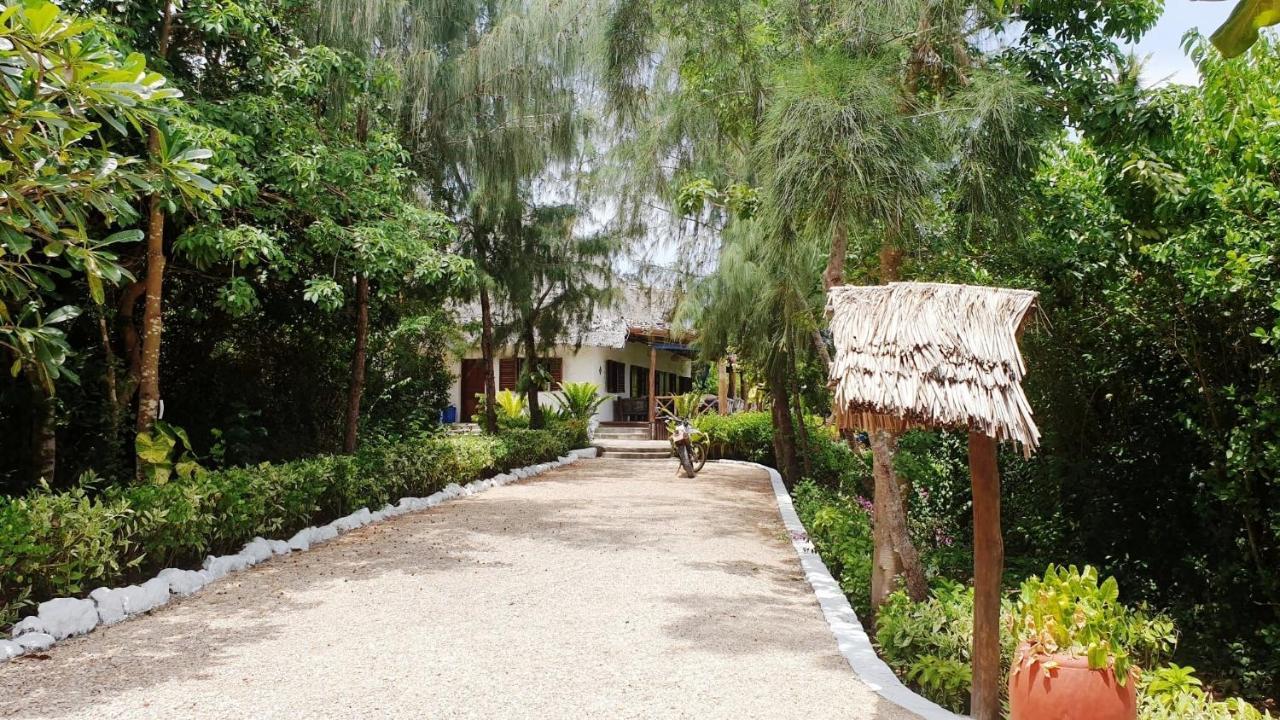 Frühstückspension Fully Private 390sqm Zero Minutes To 3 Star Serviced